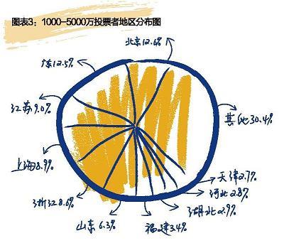 图表3：1000-5000万投票者地区分布图